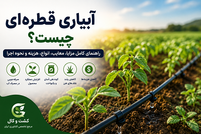 آبیاری قطره ای چیست؟